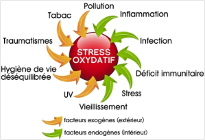 stress oxidatif