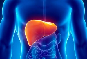 look_after_liver_1