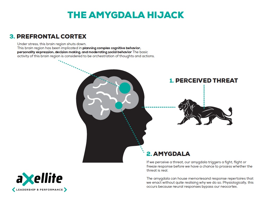 agmydale